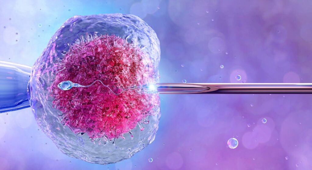 IVF Success Rate in India