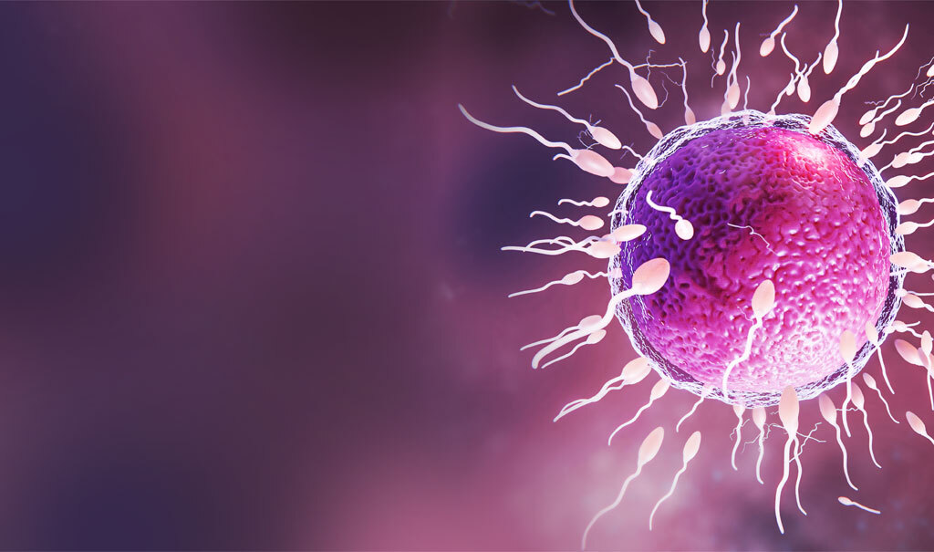 IVF Treatment success in India