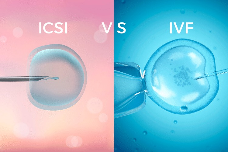 IVF vs ICSI in india