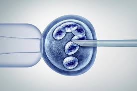 IVF Failure