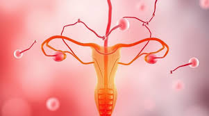 IVF and Hormonal Health