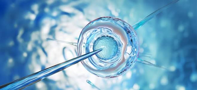 IVF Journey