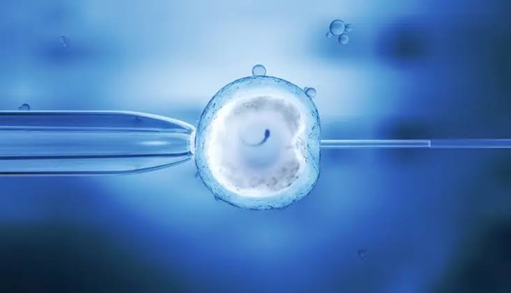 Prepare for IVF