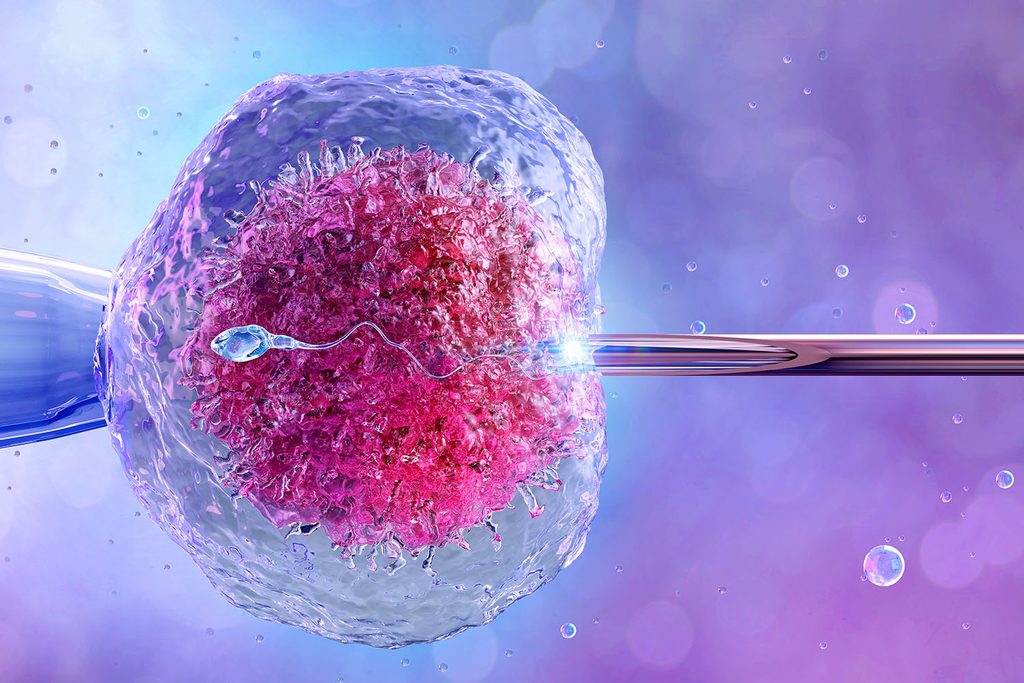 Understanding IVF Treatment